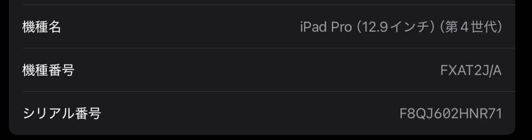 12.9インチiPad Pro Wi-Fi 256GB(第4世代)