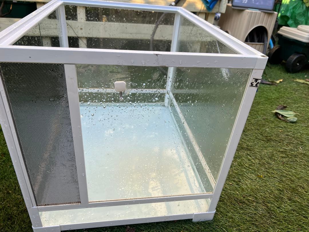 レプティワイルド パンテオンホワイト WH6045 三晃商会