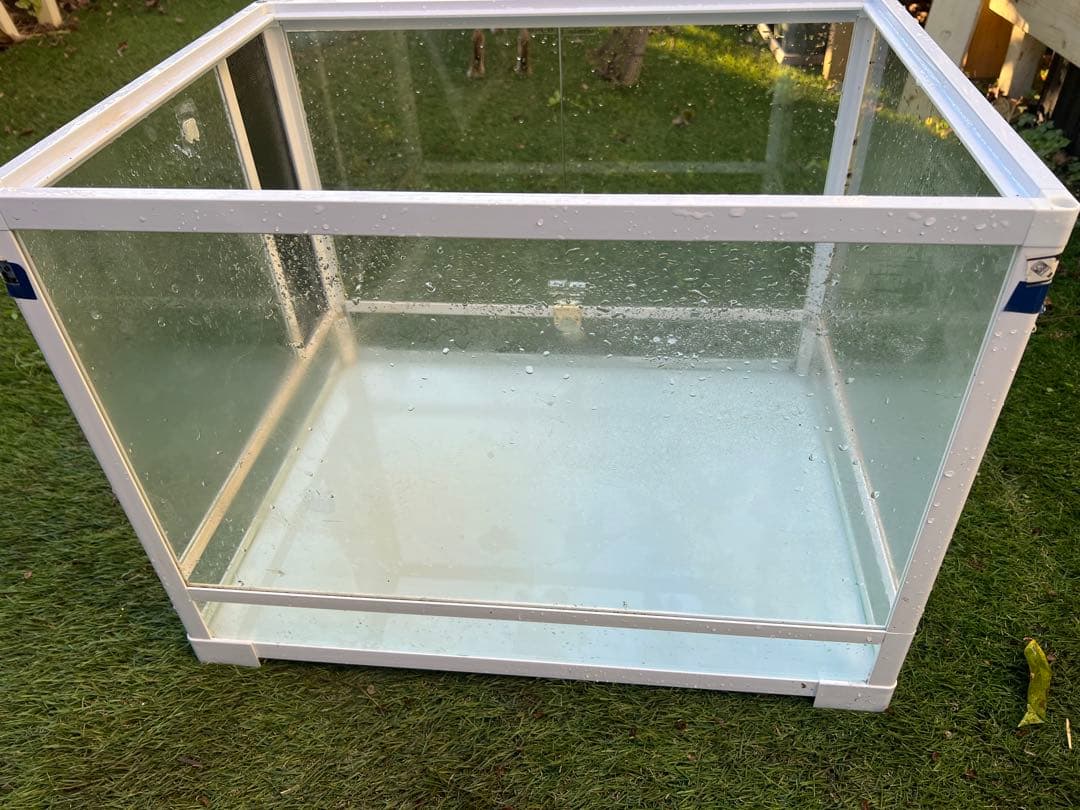 レプティワイルド パンテオンホワイト WH6045 三晃商会