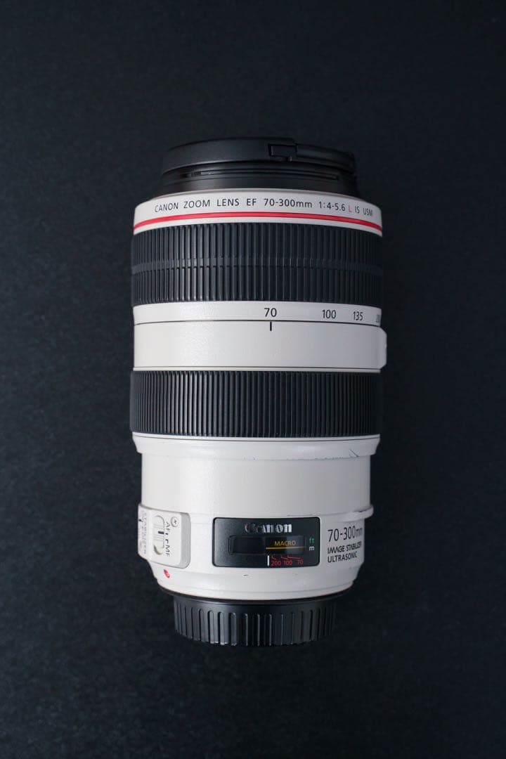 CANON EF70-300mm F4-5.6L IS USM 元箱付き