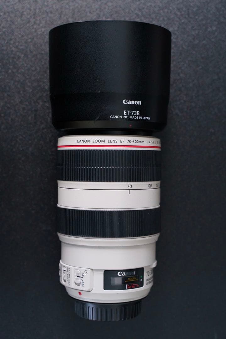 CANON EF70-300mm F4-5.6L IS USM 元箱付き