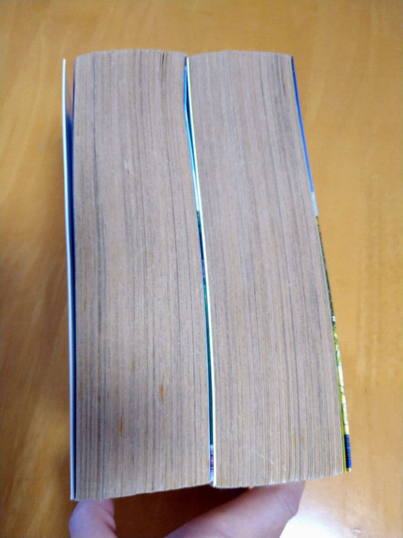 キャンディ・キャンディ 愛蔵版 全1・2巻セット