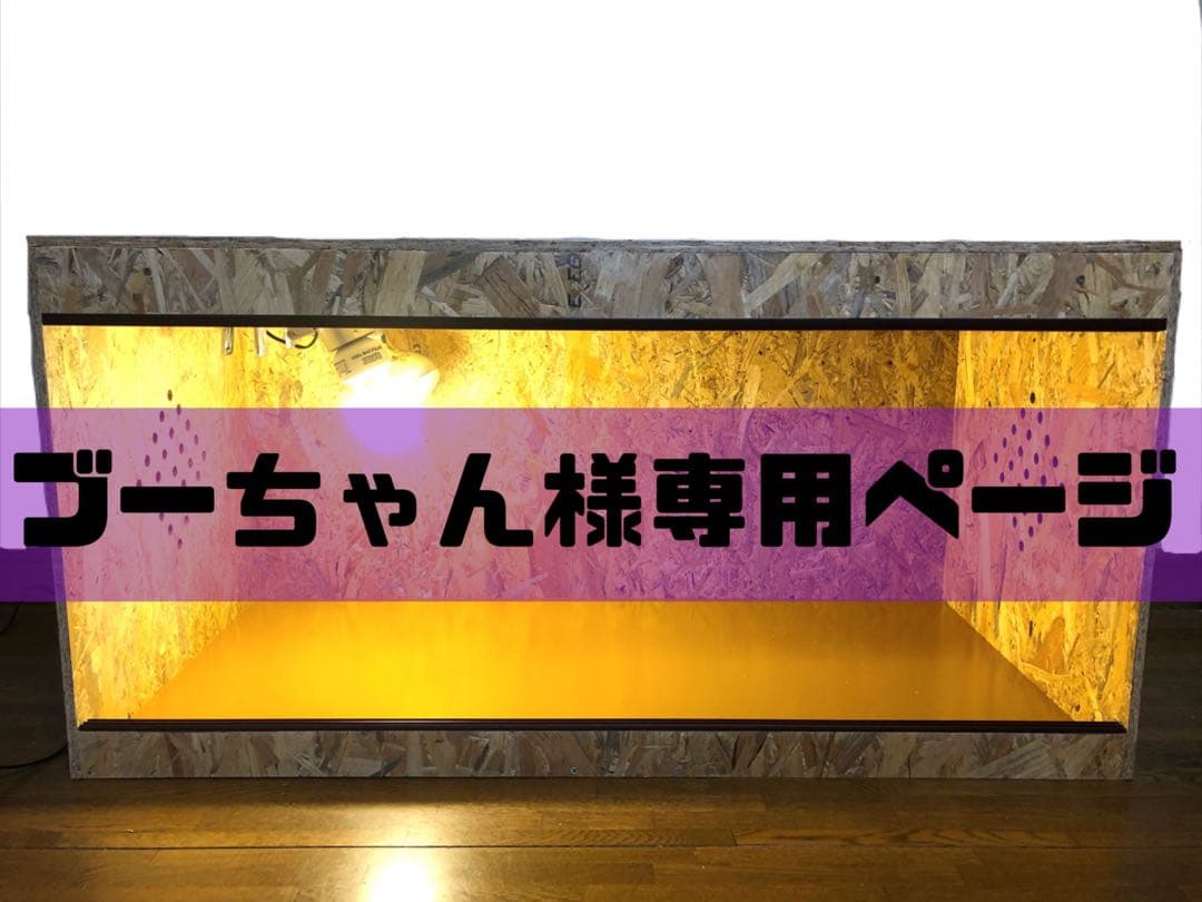 ブーちゃんページ