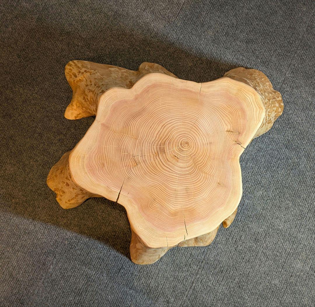 天然椹　サワラ　切り株　丸太　椅子　スツール　テーブル　高さ約23.5㎝