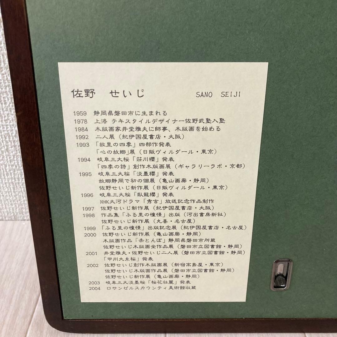 真作 佐野せいじ 木版画 『緑の風』115／150 額装 '02 風景 山