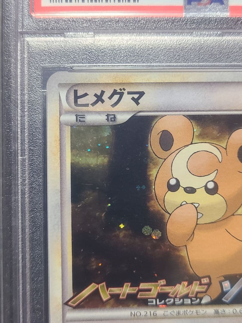 (PSA10) ヒメグマ L-P 010 プロモーションカード