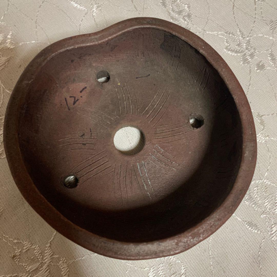 敦子　丸　盆栽鉢