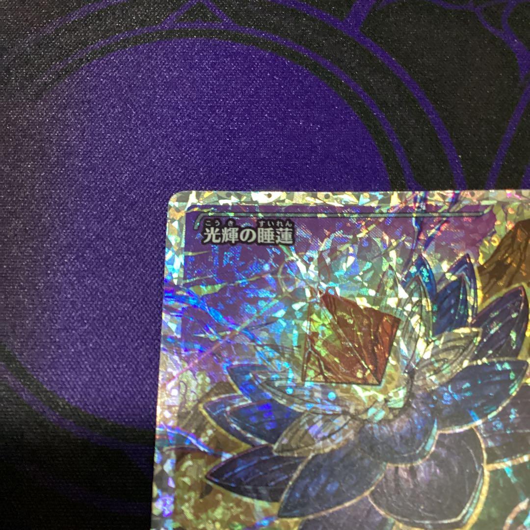 光輝の睡蓮　フラクチャー foil 日本語