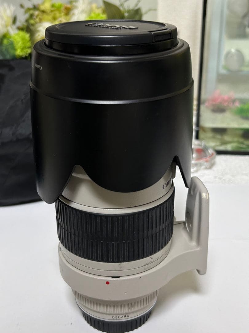 Canon EF 70-200mm f/2.8 ズームレンズ