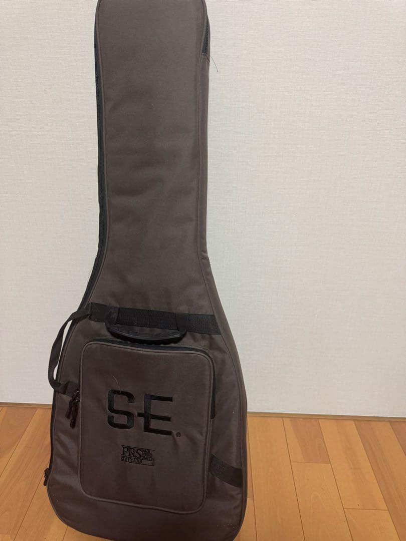 ギター Paul Reed Smith SE Custom