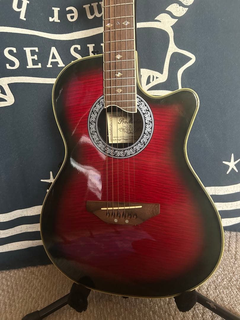 新春特価‼️90年代❣️ProMartinトラベルsizeエレアコ　SEA350RS