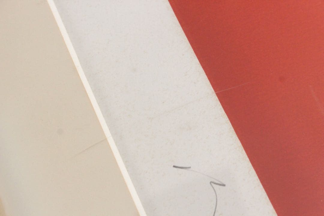 No5304 額装　井上公三　「Goeland III」　かもめ　版画　送料無料