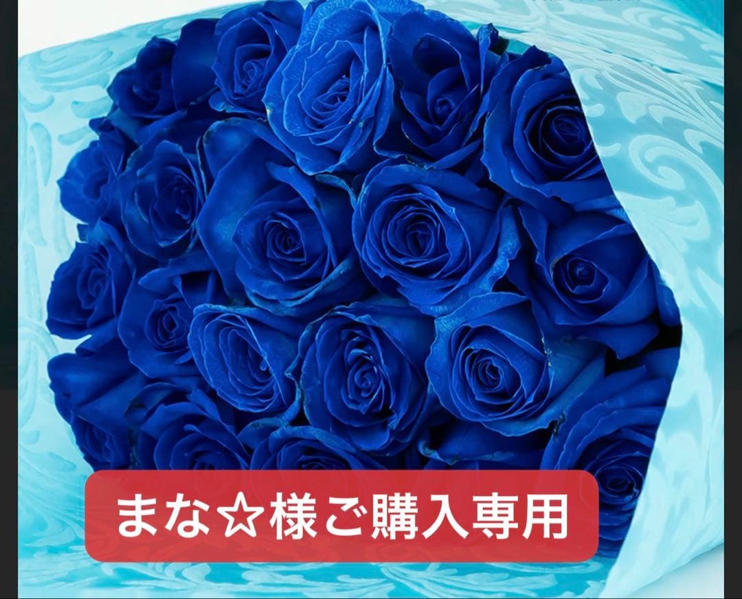 まな☆様ご購入専用