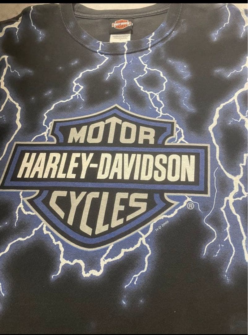 Harley-Davidson サンダー　tシャツ　ブルー　フレイム