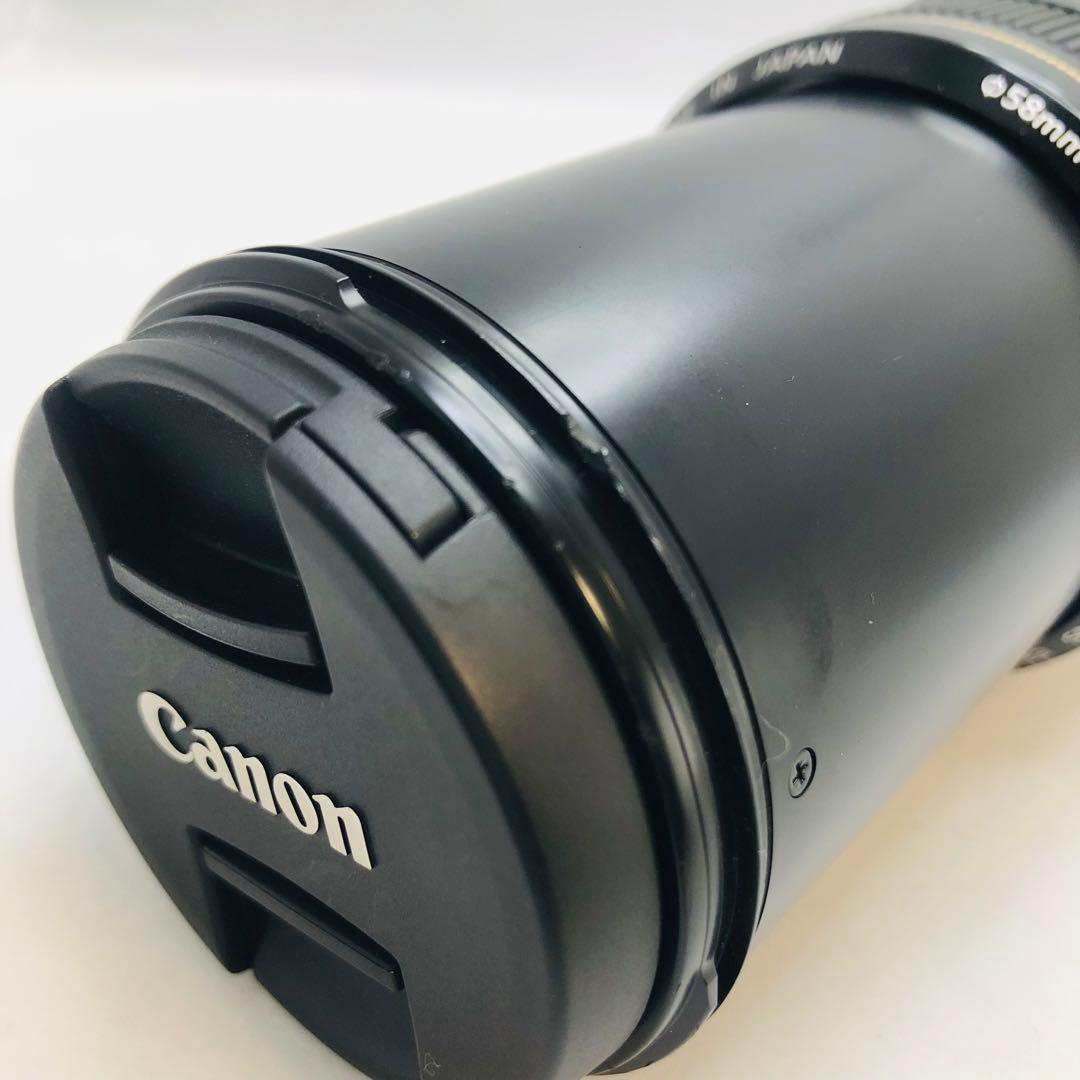 キャノンCanon EF70-300mm F4-5.6 IS USM