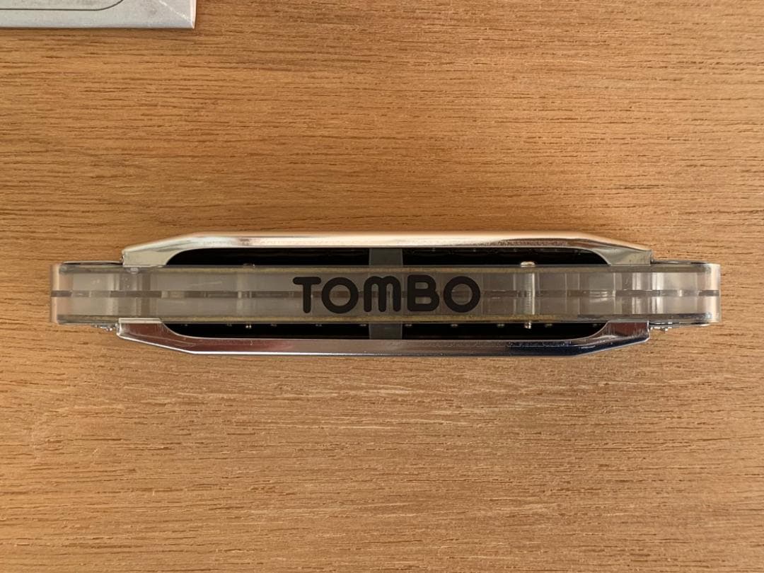 銀座 山野楽器 別注 スケルトン 限定モデル 10ホール Key-C