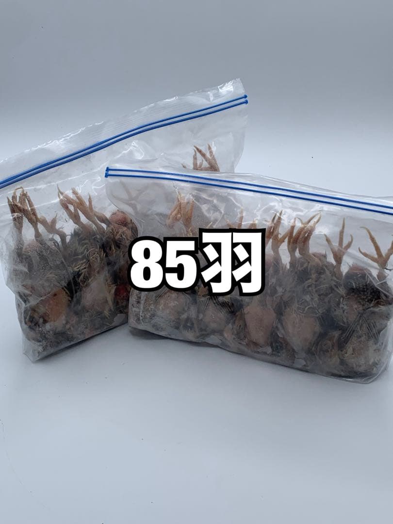 冷凍うずら（85羽）【送料込】