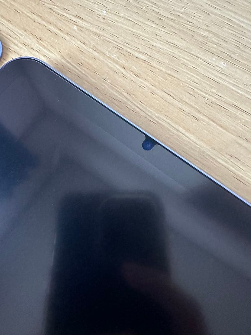 Apple iPad mini (256GB 第６世代 Wi-Fi）