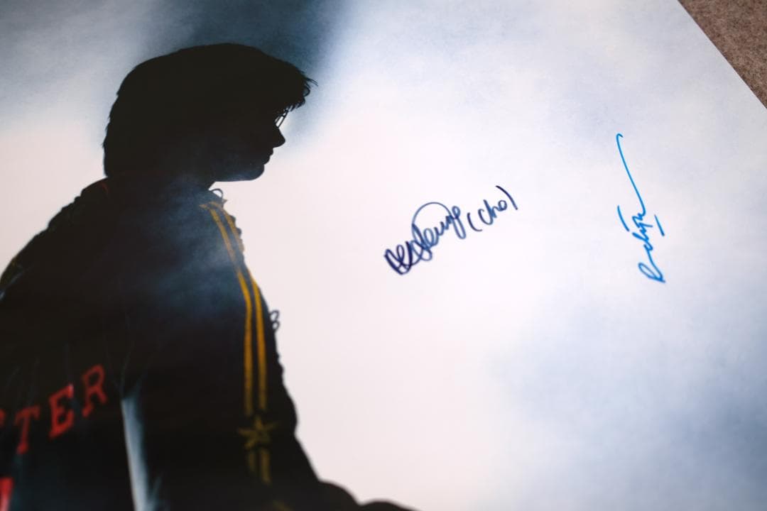 【貴重!!】ハリーポッター 俳優12名サイン入りポスター