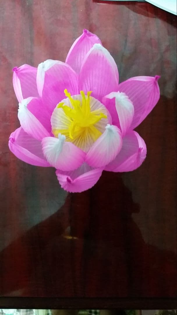 蓮の花の紙83 8色　24個　蓮の紙　韓紙　ハスの花　韓国