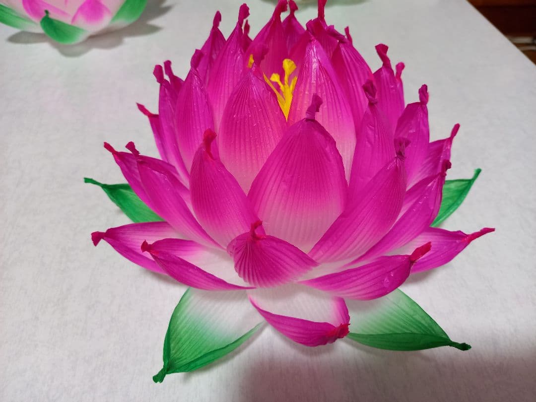 蓮の花の紙83 8色　24個　蓮の紙　韓紙　ハスの花　韓国