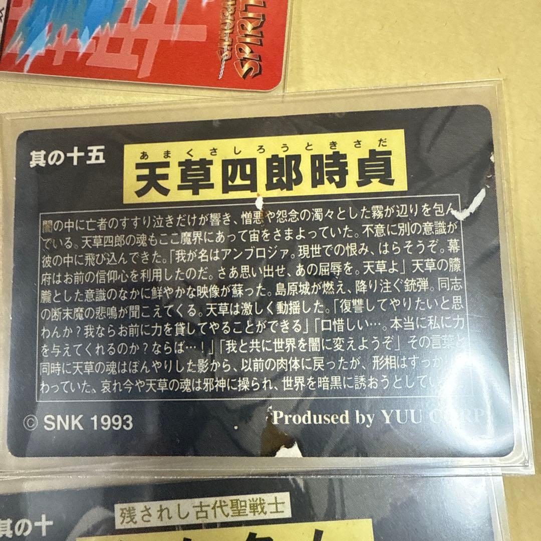 サムライスピリッツ カードダス　カード snk 39種　コンプ　ナコルル