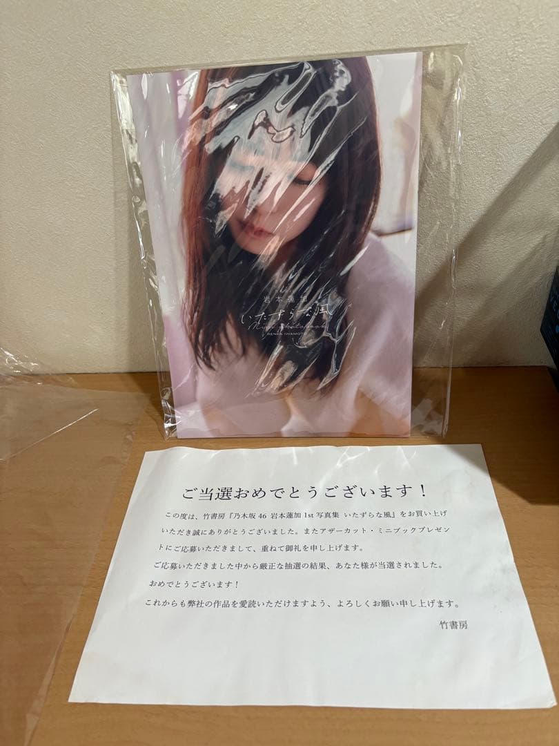 乃木坂46 岩本蓮加 1st写真集いたずらな風 アザーカット・ミニブック 当選品