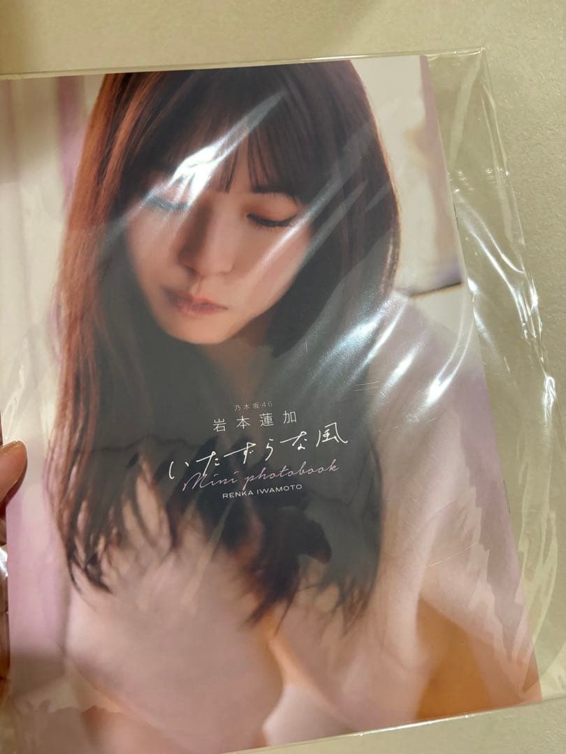 乃木坂46 岩本蓮加 1st写真集いたずらな風 アザーカット・ミニブック 当選品