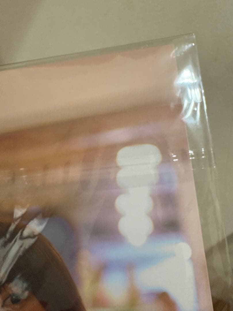 乃木坂46 岩本蓮加 1st写真集いたずらな風 アザーカット・ミニブック 当選品