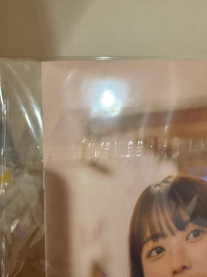 乃木坂46 岩本蓮加 1st写真集いたずらな風 アザーカット・ミニブック 当選品