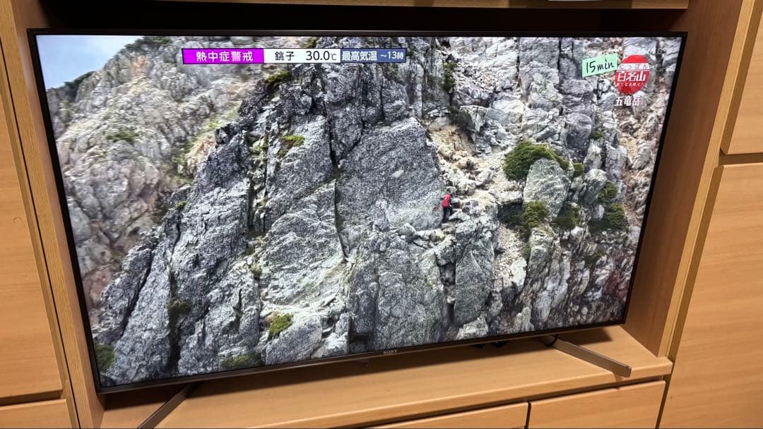 SONY 4K BRAVIA KJ-49X9500G(純正スタンド除く)