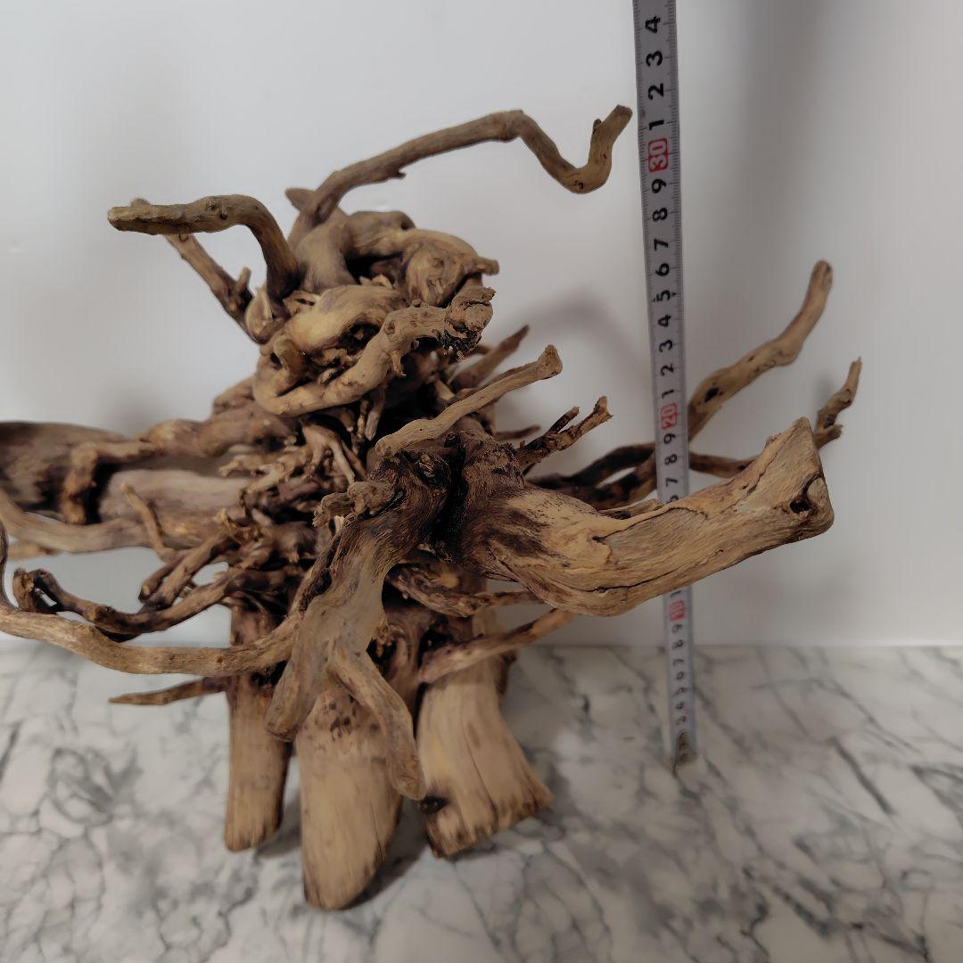 アク抜き済み流木【860】セール