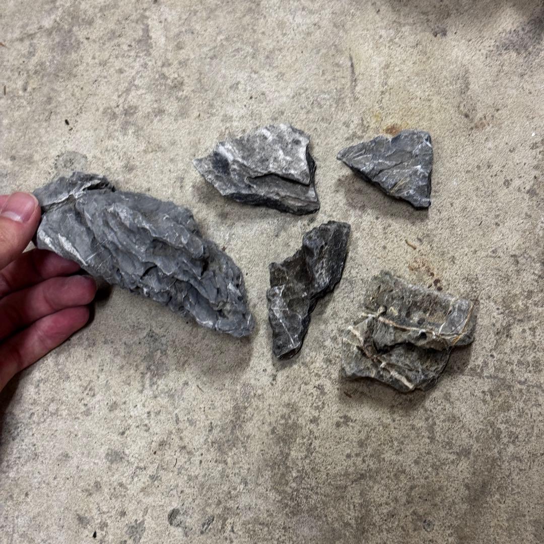 ADA龍王石 竜王石　セット　良型　1