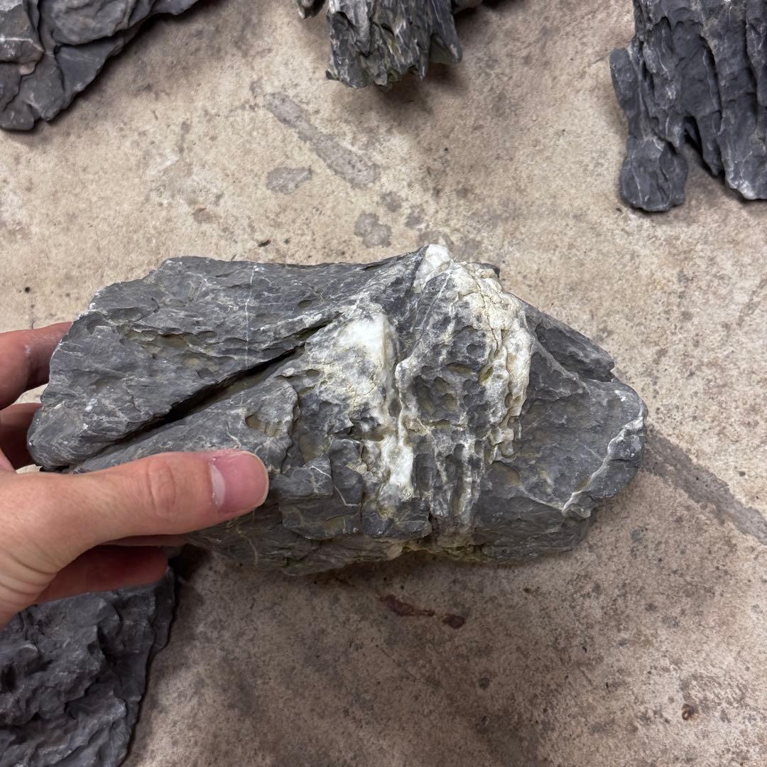 ADA龍王石 竜王石　セット　良型　1