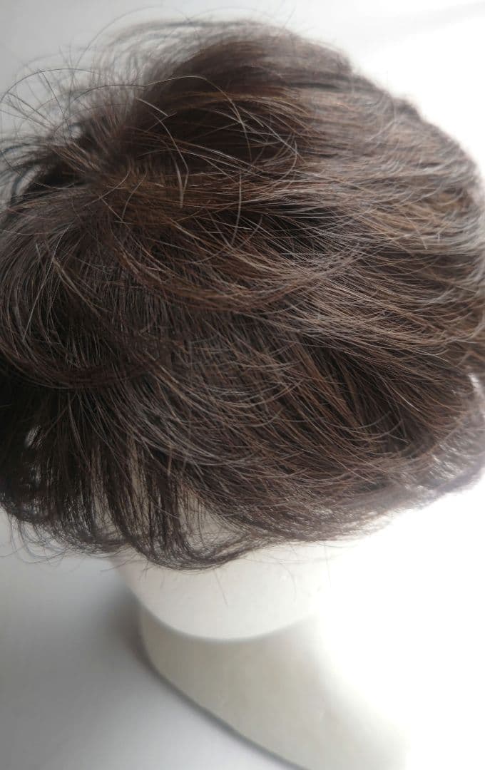 アートネイチャー　ジュリア・オージェ　ハーフウィッグ　さらら