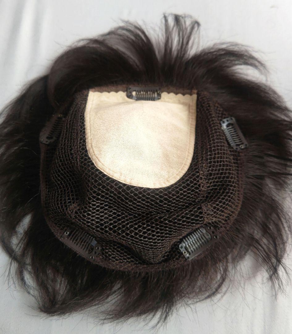 アートネイチャー　ジュリア・オージェ　ハーフウィッグ　さらら