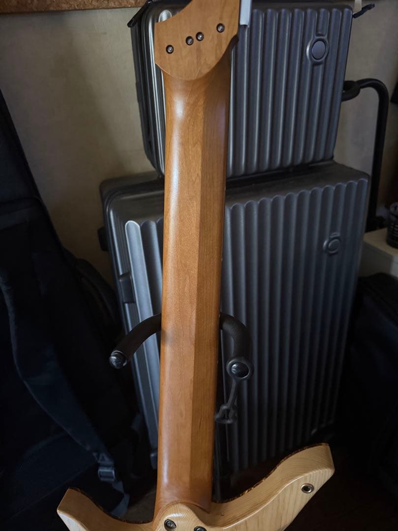 GOCguitars illumina7弦ギター