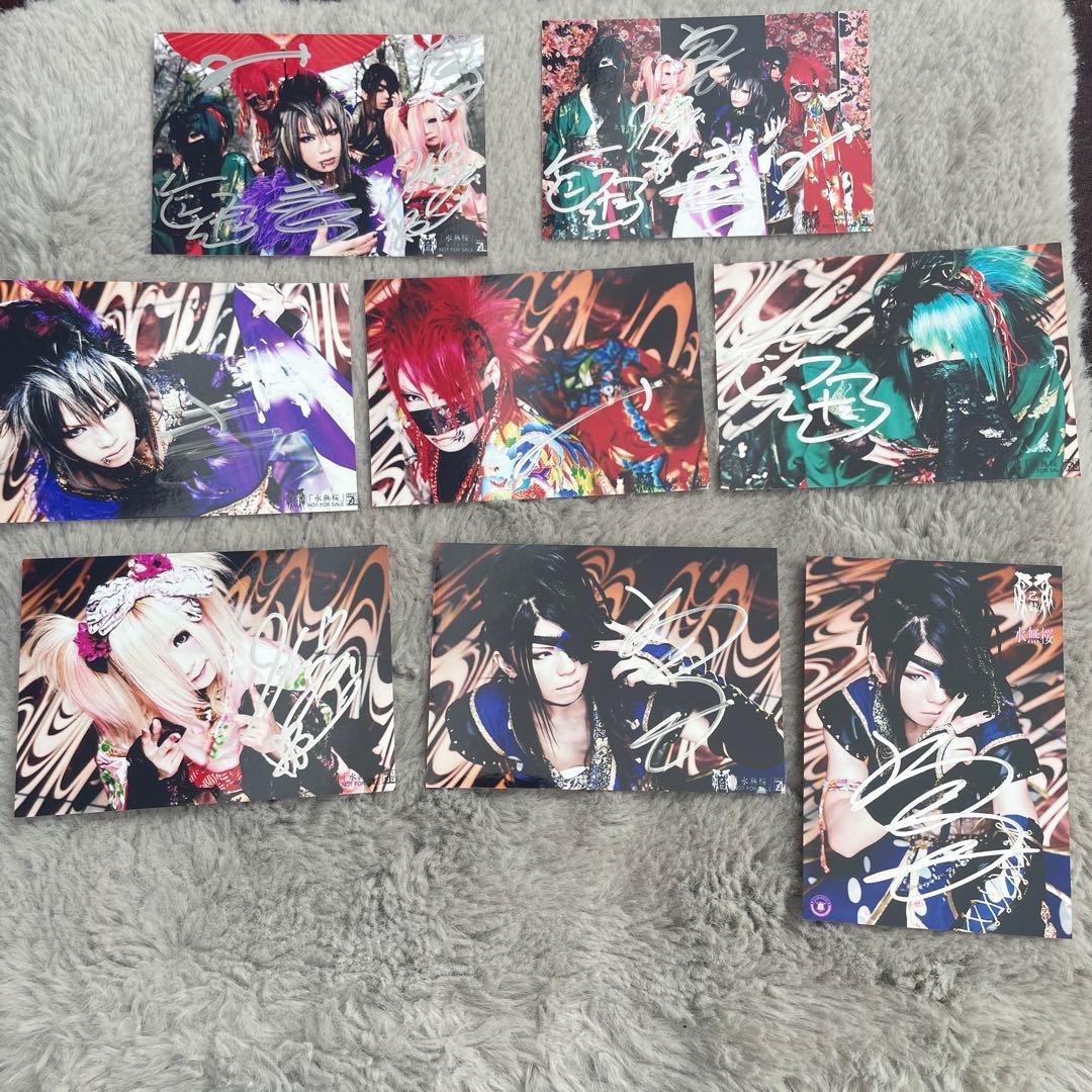 己龍 過去アー写 セット