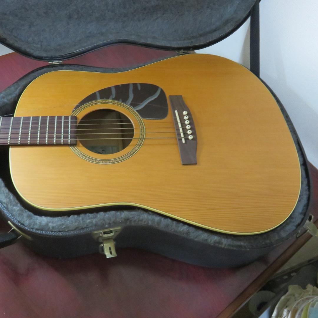 アコースティックギター シーガル ケース付き seagull S6 CEDAR