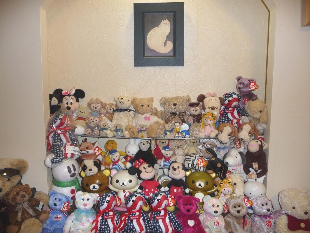 LUMIX★DMC-TZ5⭕️実働品⚠️必読有★光学10倍ズーム★910万画素