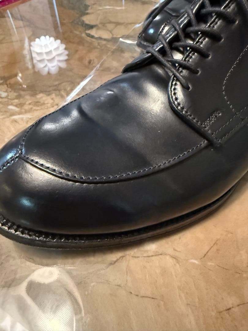 Alden ブラック Vチップ　コードヴァン　シューツリー付