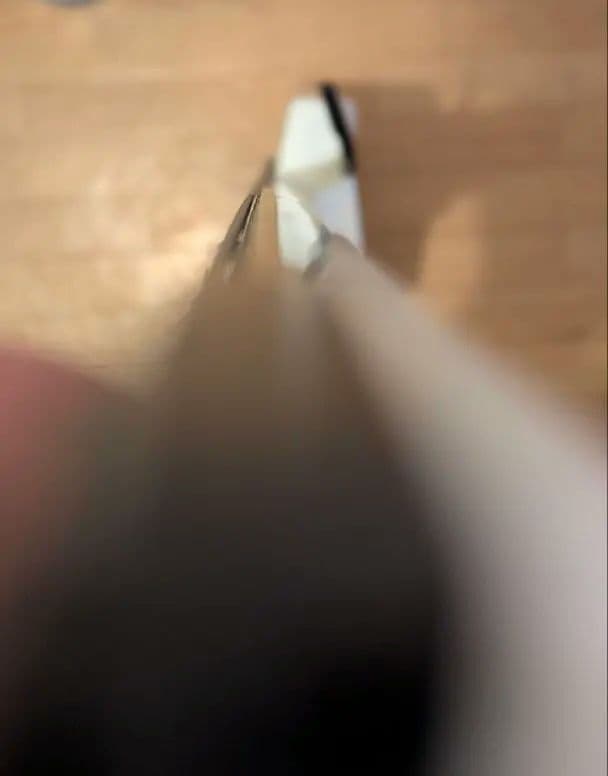 スタインバーガー　シナプス　 Steinberger Synapse