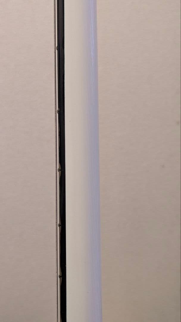 スタインバーガー　シナプス　 Steinberger Synapse