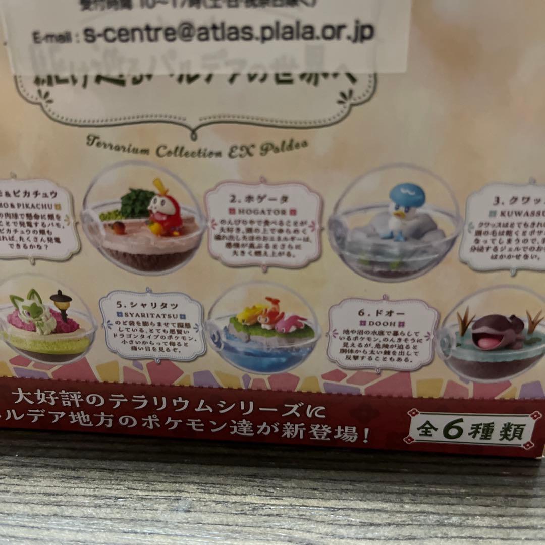 ポケモン　フィギュア