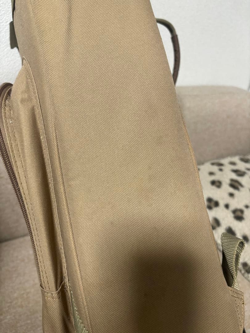 【美品】Taylor GS Mini Koaアコースティックギター 純正ケース付