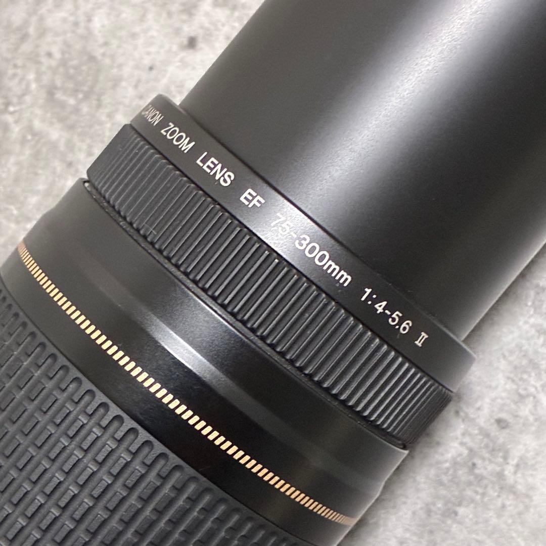 ⭐️美品⭐️Canon EF 75-300 II & EF-EOS R アダプター
