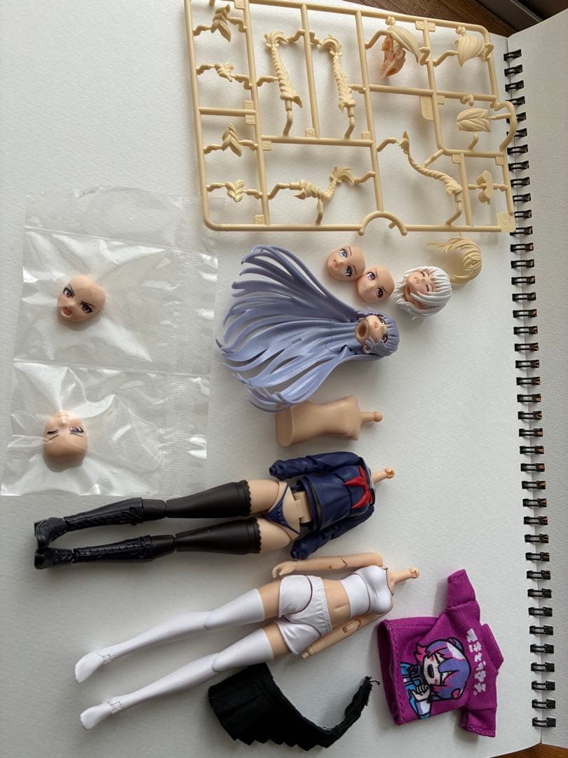 布スカート付き　コトブキヤ限定薬師寺久遠ベースの寄せ集めジャンク　創彩少女庭園