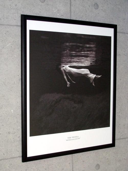 Weeki Wachee Spring/トニ フリッセル/ポスター