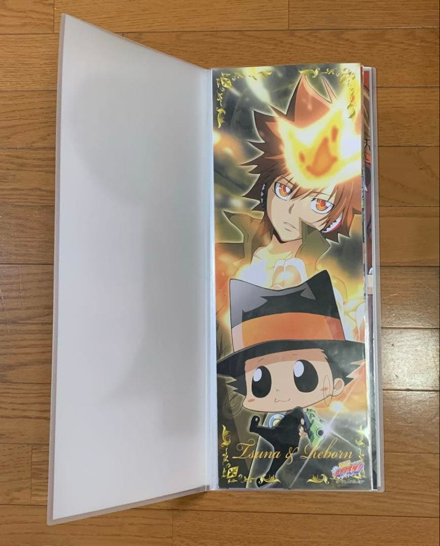 家庭教師ヒットマンREBORN! スティックポスター26枚セット