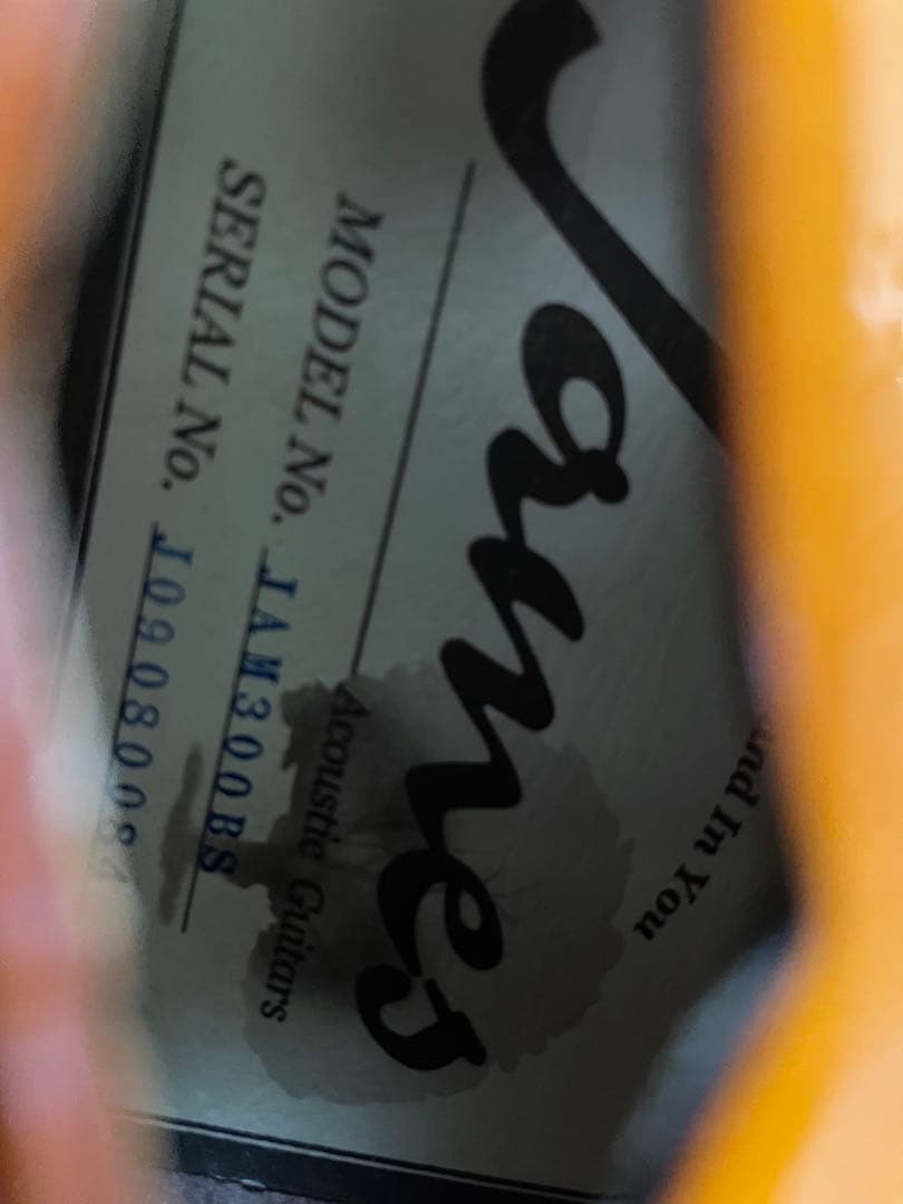 ジェームス James マンドリン JAM300BS ケース付き